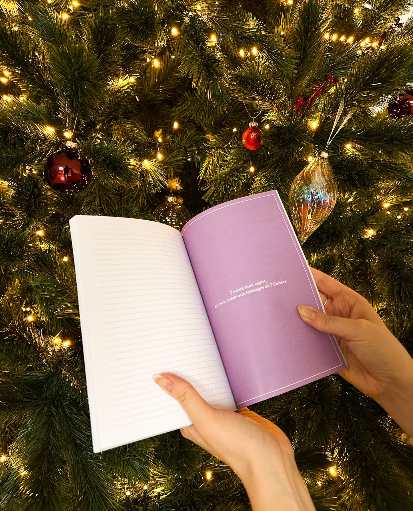 Pack Moongirl - Edition Limitée de Noël 🎄