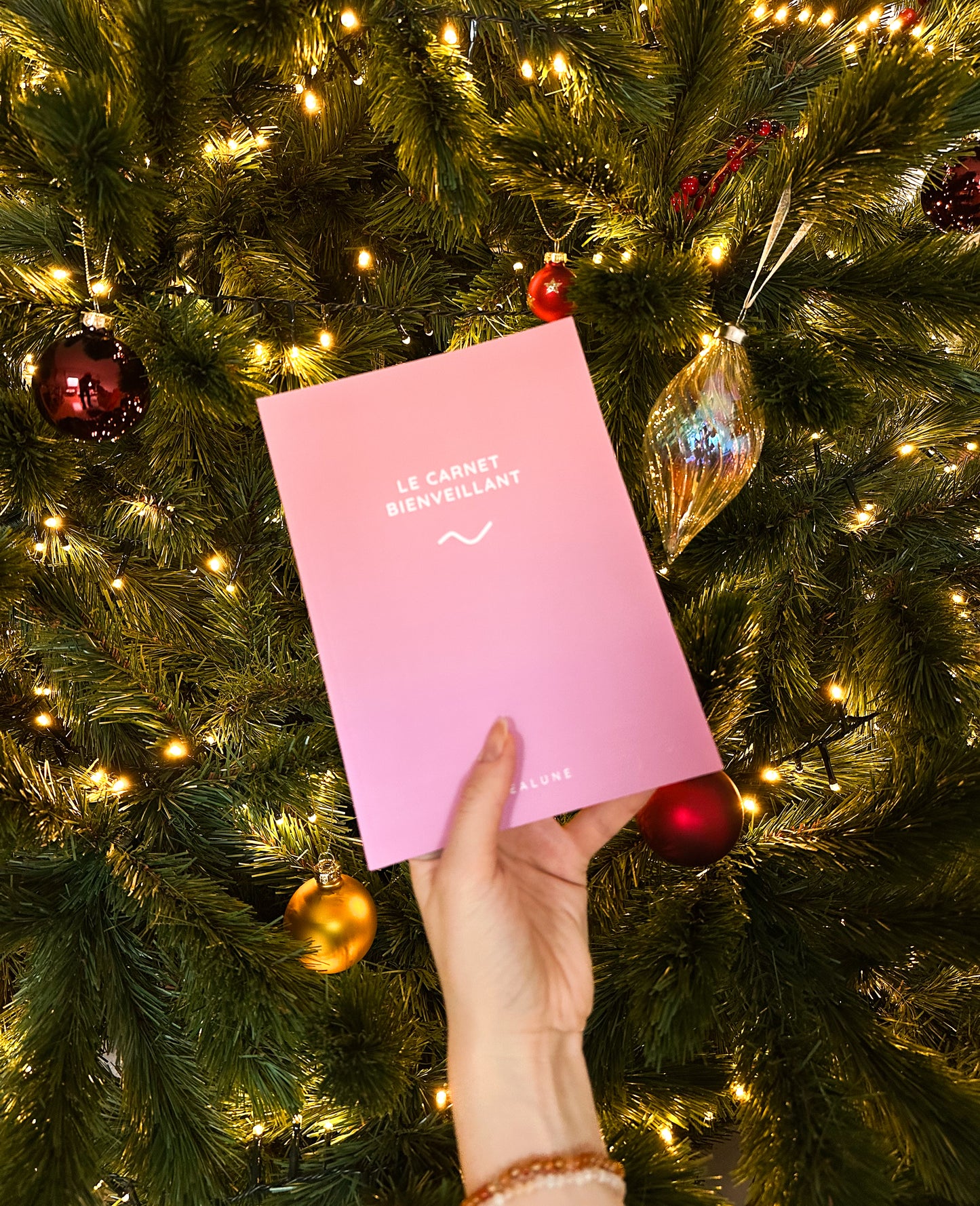 Pack Moongirl - Edition Limitée de Noël 🎄